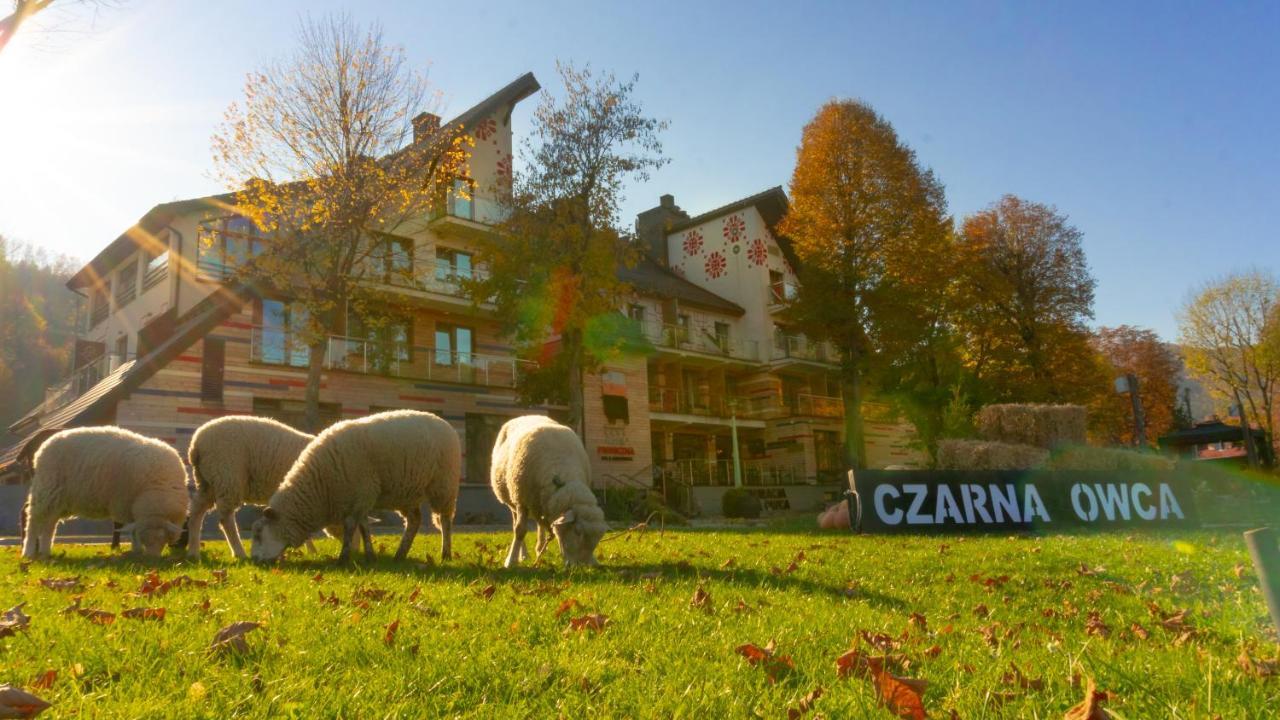 Hotel Piwniczna Spa&Conference Экстерьер фото